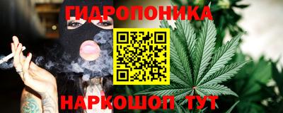 индика Нягань